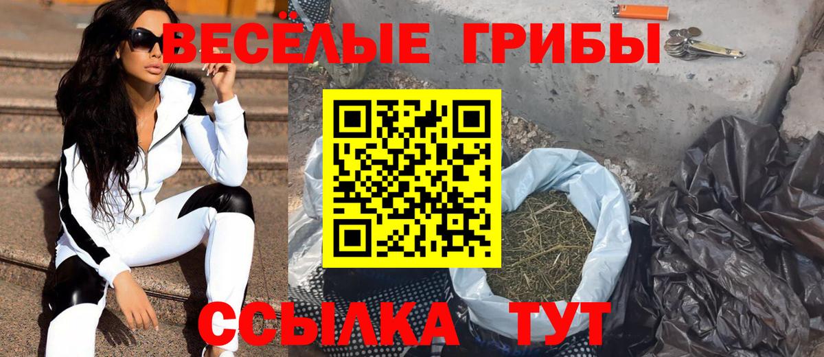 Печора  Галлюциногенные грибы прущие грибы  Вход с VPN 